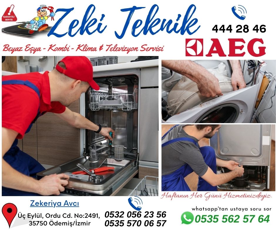 Ödemiş AEG Servisi