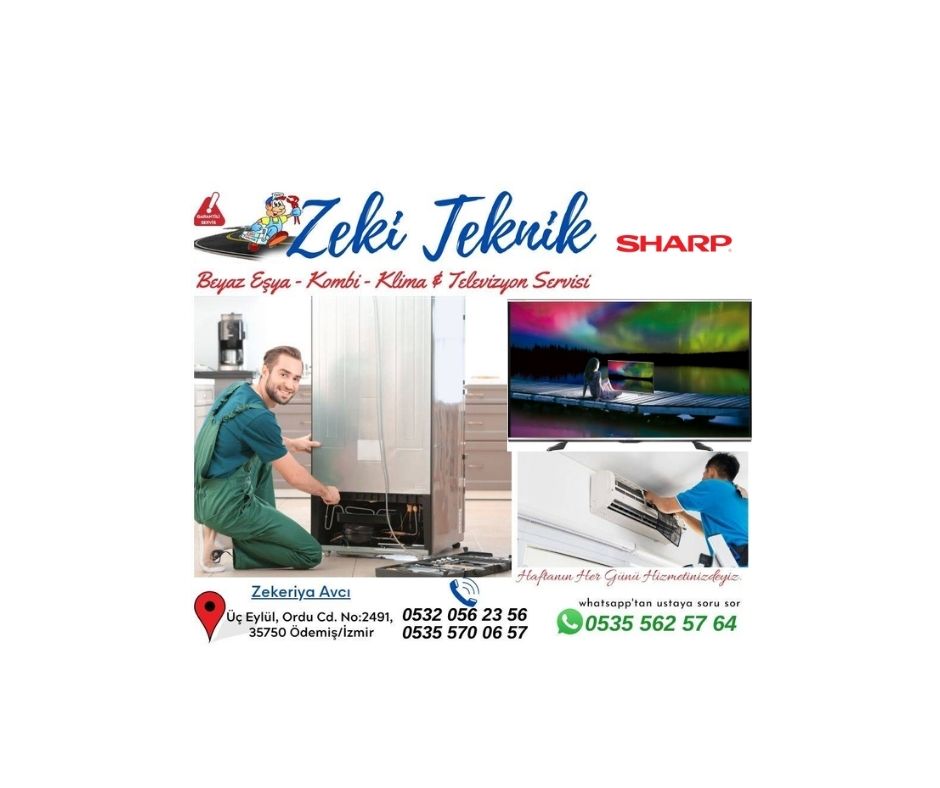 Ödemis Sharp Televizyon Servisi